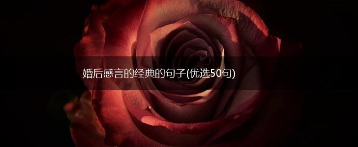 婚后感言的经典的句子(优选50句),第1张