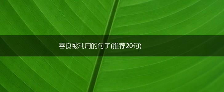 善良被利用的句子(推荐20句),第1张