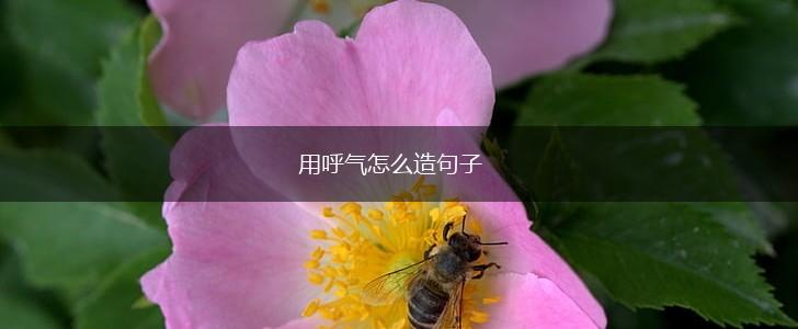 用呼气怎么造句子,第1张