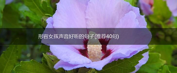 形容女孩声音好听的句子(推荐40句),第1张