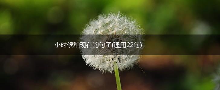 小时候和现在的句子(通用22句),第1张