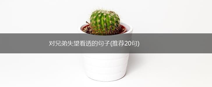 对兄弟失望看透的句子(推荐20句),第1张