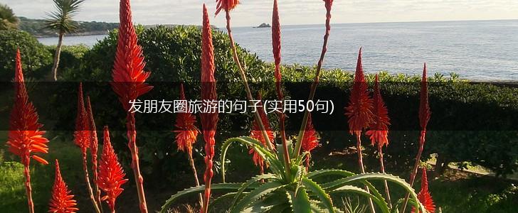 发朋友圈旅游的句子(实用50句),第1张