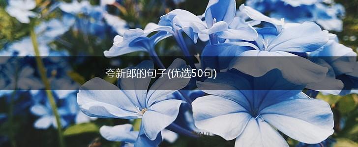 夸新郎的句子(优选50句),第1张