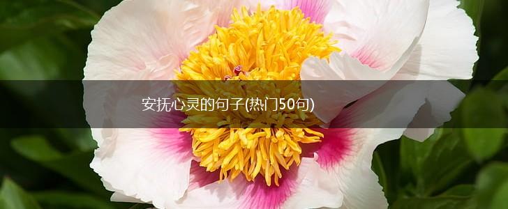 安抚心灵的句子(热门50句),第1张