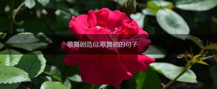 歌舞剧造句,歌舞剧的句子,第1张