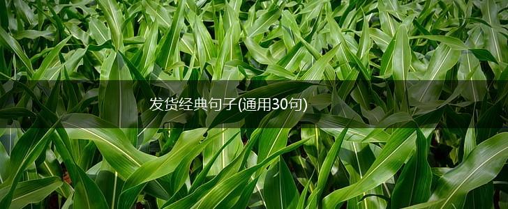 发货经典句子(通用30句),第1张