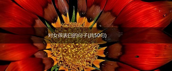 对女孩表白的句子(共50句),第1张