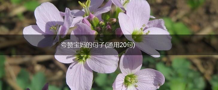 夸赞宝妈的句子(通用20句),第1张