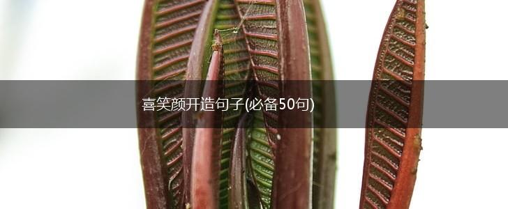 喜笑颜开造句子(必备50句),第1张