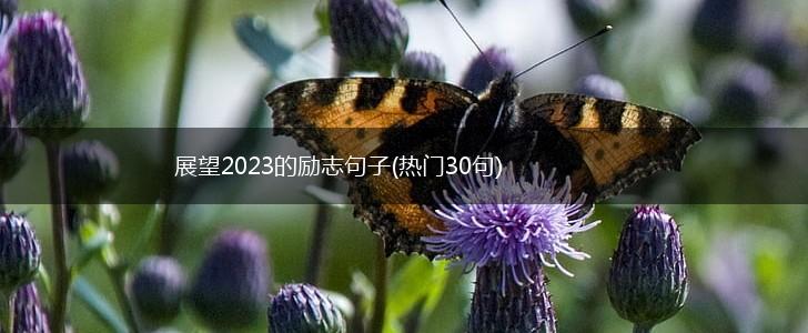 展望2023的励志句子(热门30句),第1张