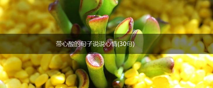 带心酸的句子说说心情(30句),第1张
