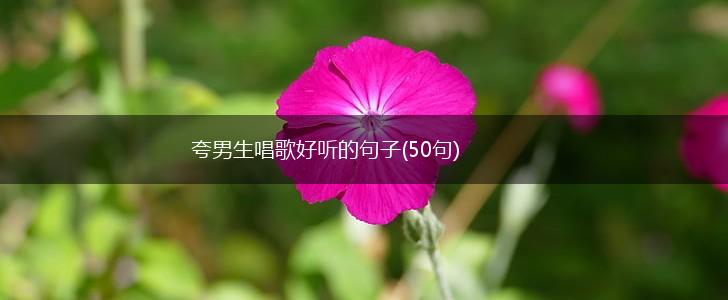 夸男生唱歌好听的句子(50句),第1张