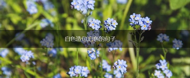 白色造句,白色的句子,第1张