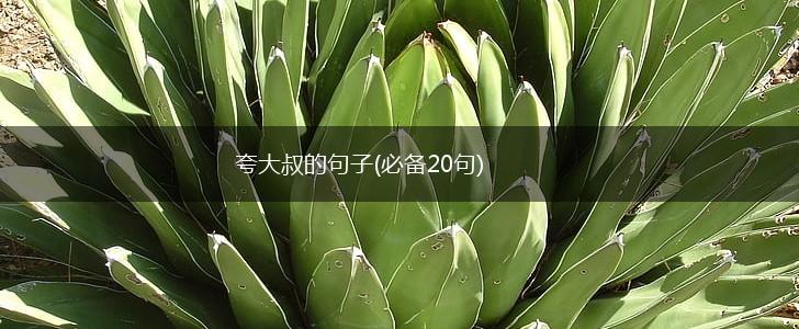 夸大叔的句子(必备20句),第1张