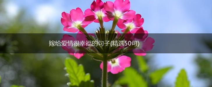 嫁给爱情很幸福的句子(精选50句),第1张