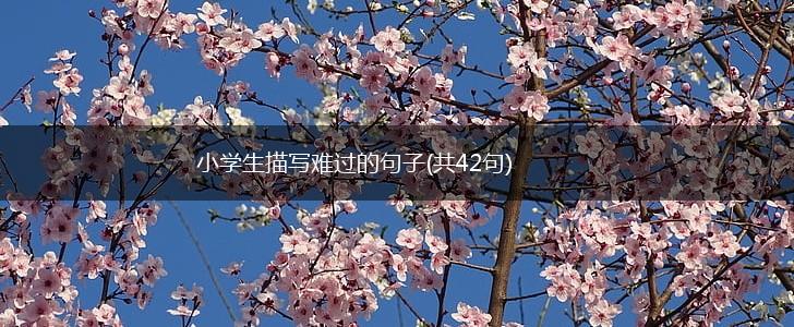 小学生描写难过的句子(共42句),第1张