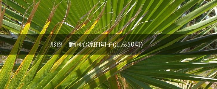 形容一瞬间心凉的句子(汇总50句),第1张