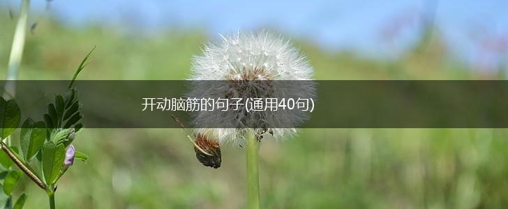 开动脑筋的句子(通用40句),第1张