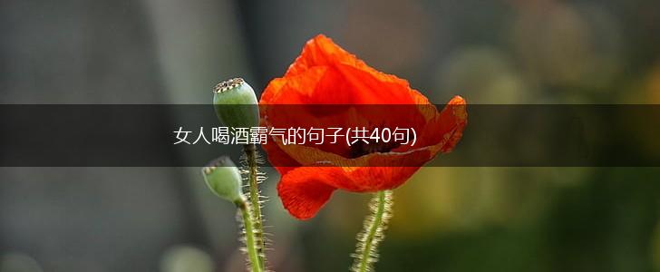 女人喝酒霸气的句子(共40句),第1张