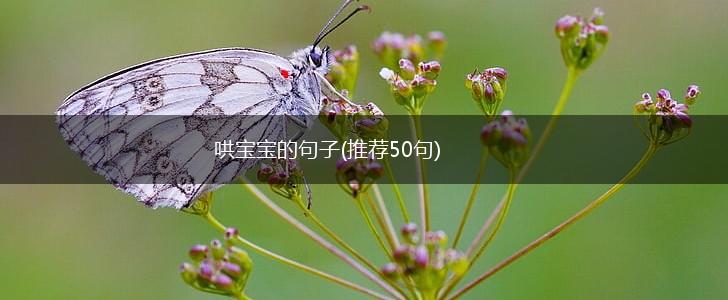 哄宝宝的句子(推荐50句),第1张