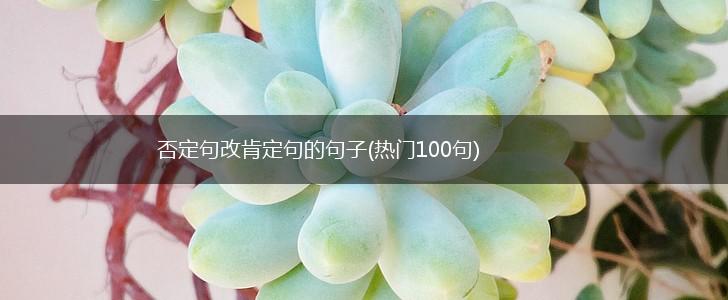 否定句改肯定句的句子(热门100句),第1张
