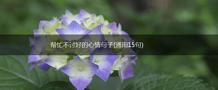 帮忙不讨好的心情句子(通用15句),第1张