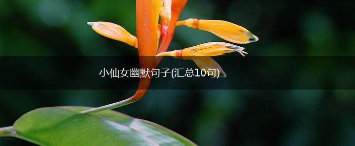 小仙女幽默句子(汇总10句),第1张