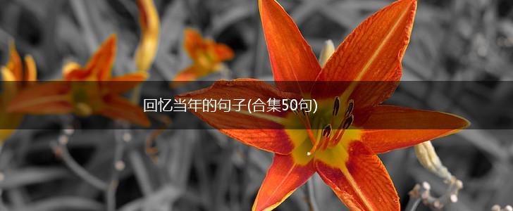 回忆当年的句子(合集50句),第1张
