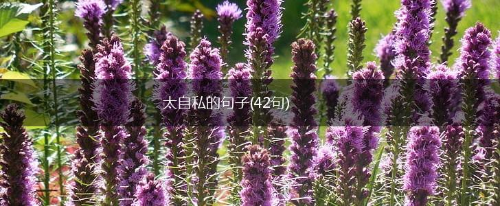 太自私的句子(42句),第1张