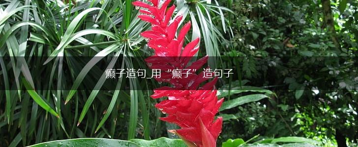癫子造句_用“癫子”造句子,第1张