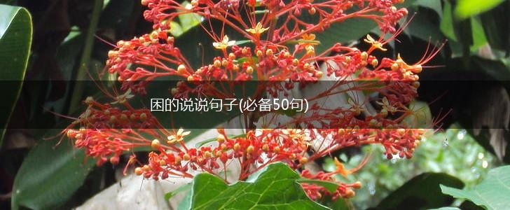 困的说说句子(必备50句),第1张
