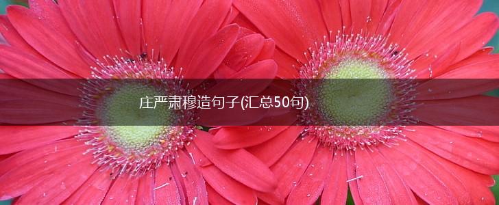庄严肃穆造句子(汇总50句),第1张