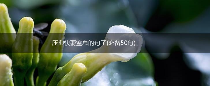 压抑快要窒息的句子(必备50句),第1张