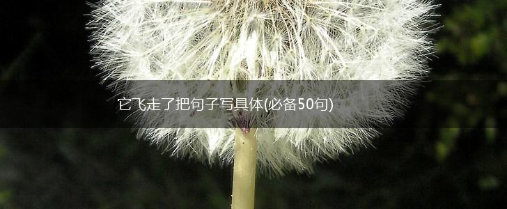 它飞走了把句子写具体(必备50句),第1张