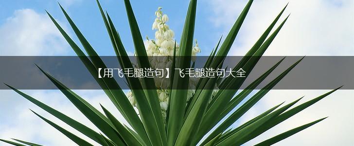 【用飞毛腿造句】飞毛腿造句大全,第1张