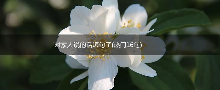 对家人说的话短句子(热门16句),第1张