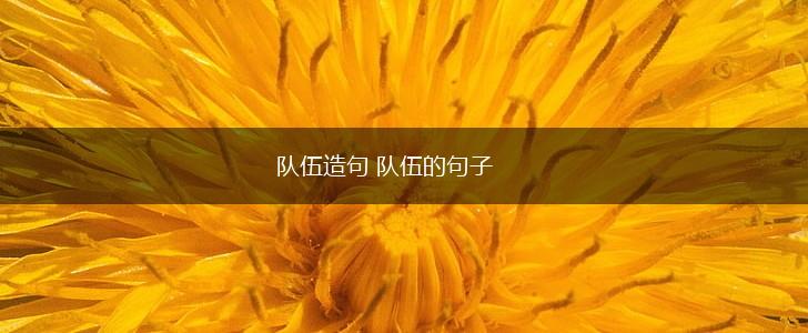 队伍造句 队伍的句子,第1张