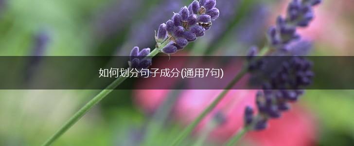 如何划分句子成分(通用7句),第1张