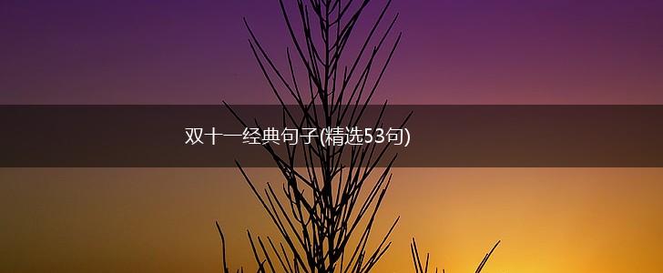 双十一经典句子(精选53句),第1张