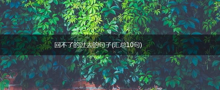 回不了的过去的句子(汇总10句),第1张
