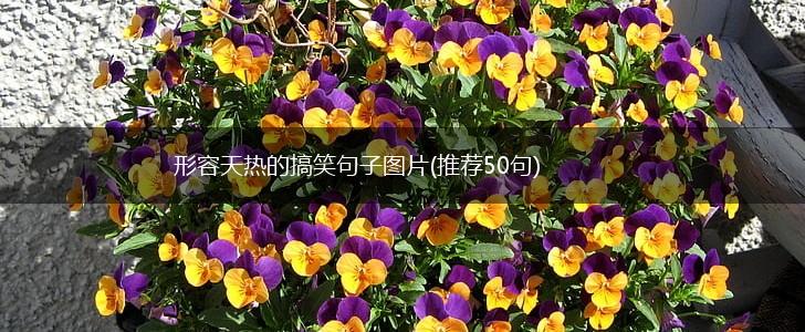 形容天热的搞笑句子图片(推荐50句),第1张