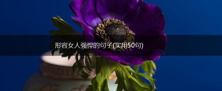 形容女人强悍的句子(实用50句),第1张