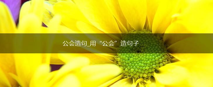 公会造句_用“公会”造句子,第1张