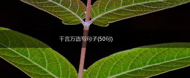 千言万语写句子(50句),第1张