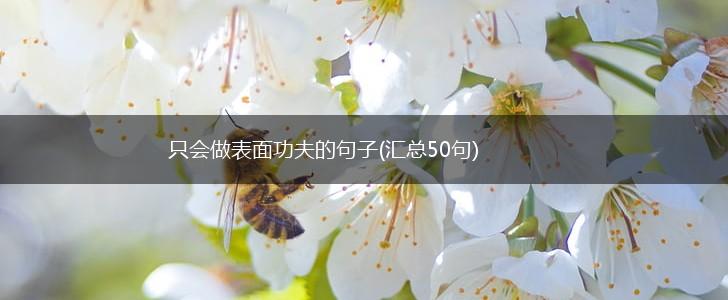 只会做表面功夫的句子(汇总50句),第1张