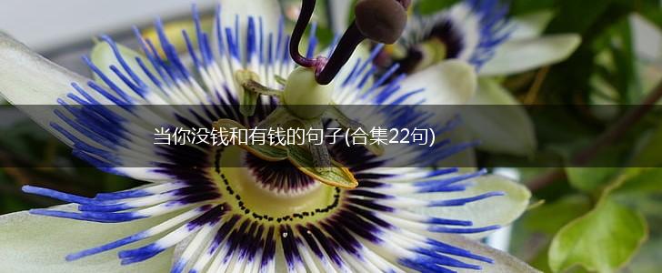 当你没钱和有钱的句子(合集22句),第1张
