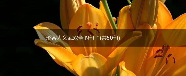 形容人文武双全的句子(共50句),第1张