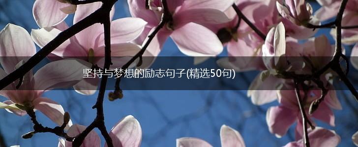 坚持与梦想的励志句子(精选50句),第1张