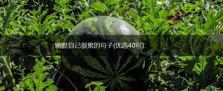 幽默自己很累的句子(优选40句),第1张